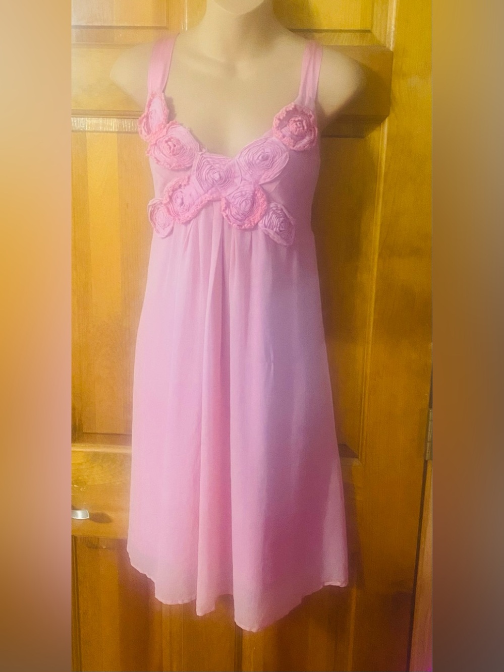 Holly in Hanoi Silk Dress Large